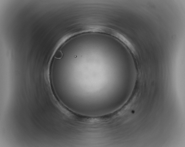 X0000115511283200911061349
