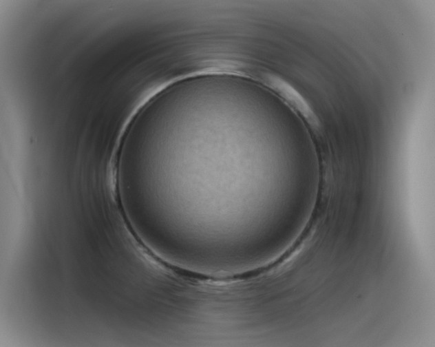 X0000115511284200911061349