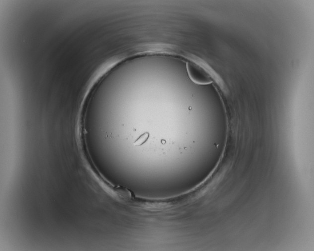 X0000115511285200911061349