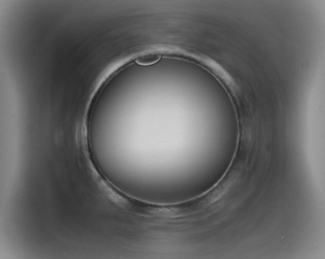 X0000115511287200911061349
