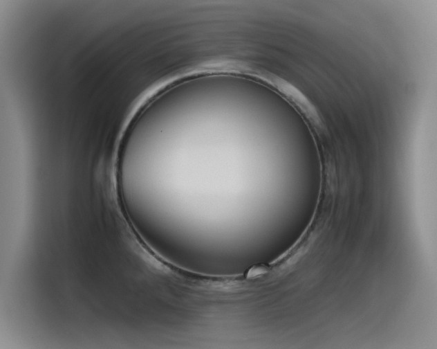 X0000115511288200911061349