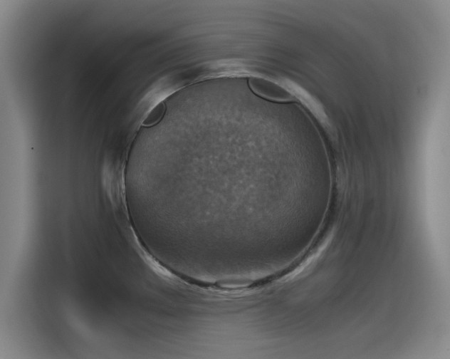 X0000115511289200911061349