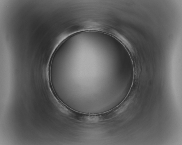 X0000115511291200911061349