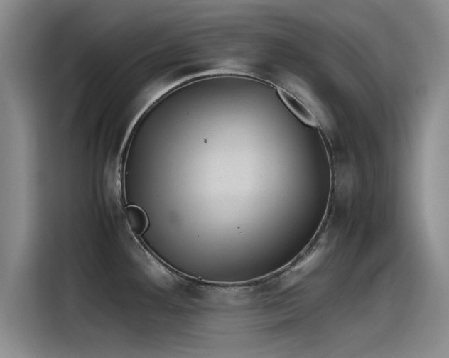 X0000115511292200911061349