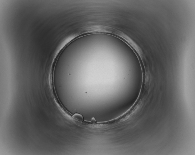 X0000115511293200911061349