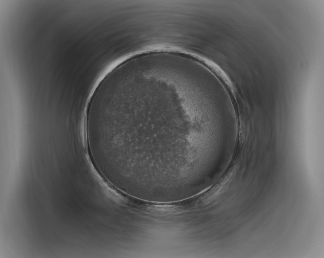 X0000115511295200911061349