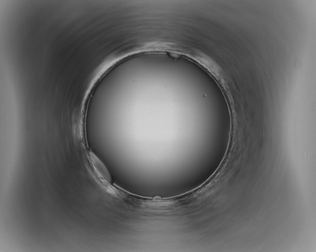 X0000115511296200911061349