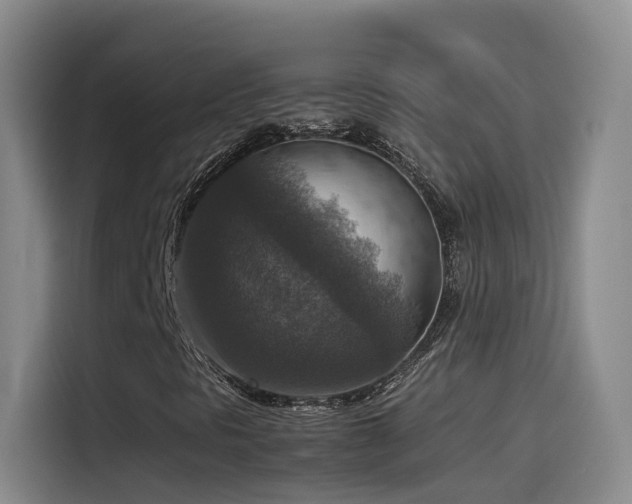 X0000115511297200911061348