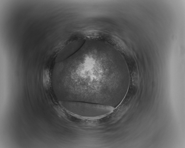 X0000115511298200911061348