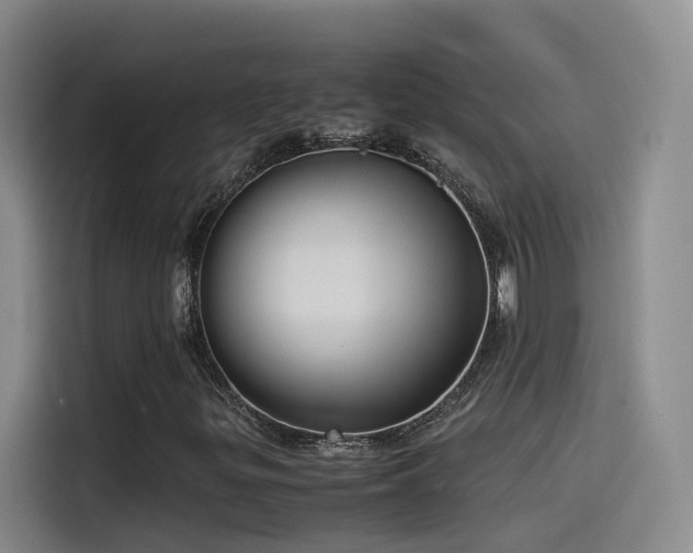 X0000115511299200911061348