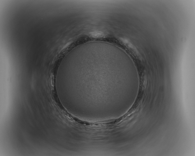 X0000115511301200911061348