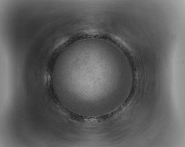X0000115511302200911061348