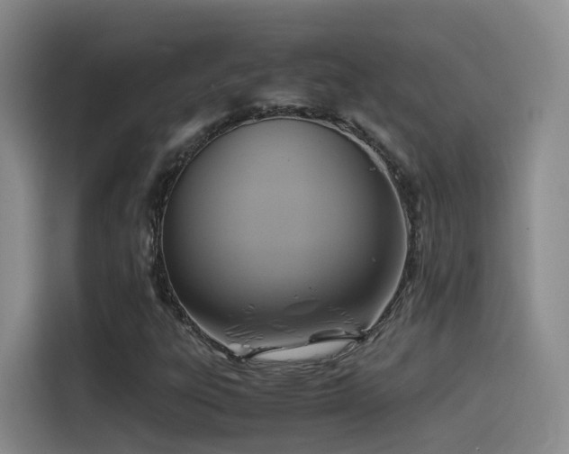 X0000115511303200911061348