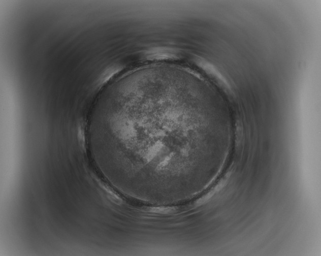 X0000115511305200911061348