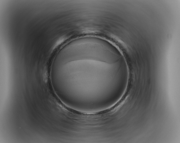 X0000115511306200911061348