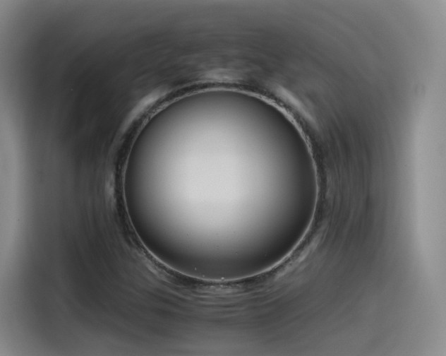 X0000115511307200911061348