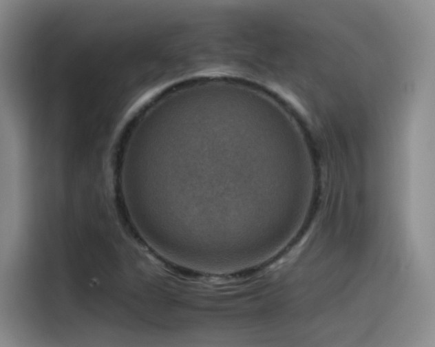 X0000115511311200911061348