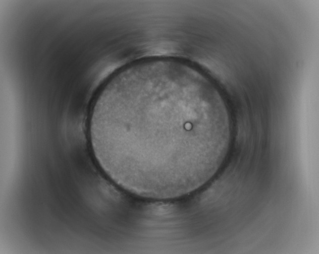 X0000115511314200911061348