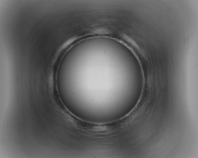 X0000115511315200911061348