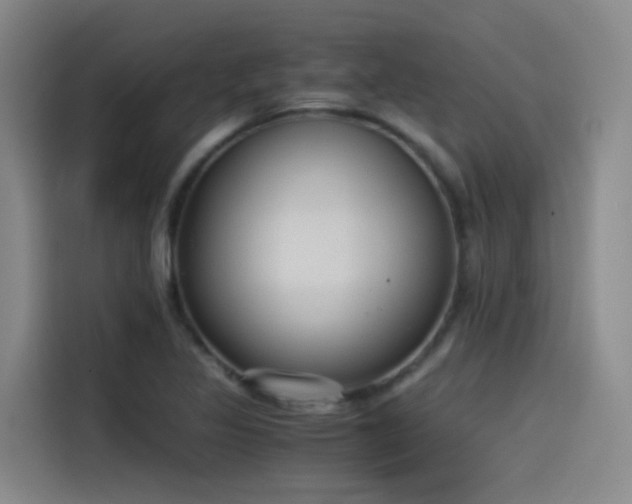 X0000115511317200911061348