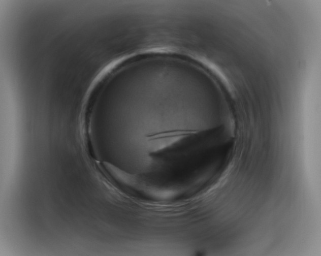 X0000115511319200911061348