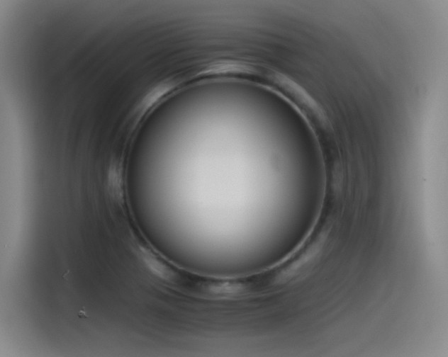 X0000115511321200911061348