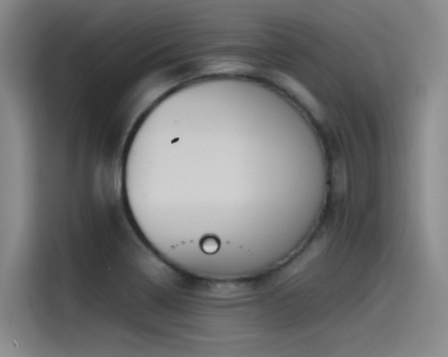 X0000115511322200911061348