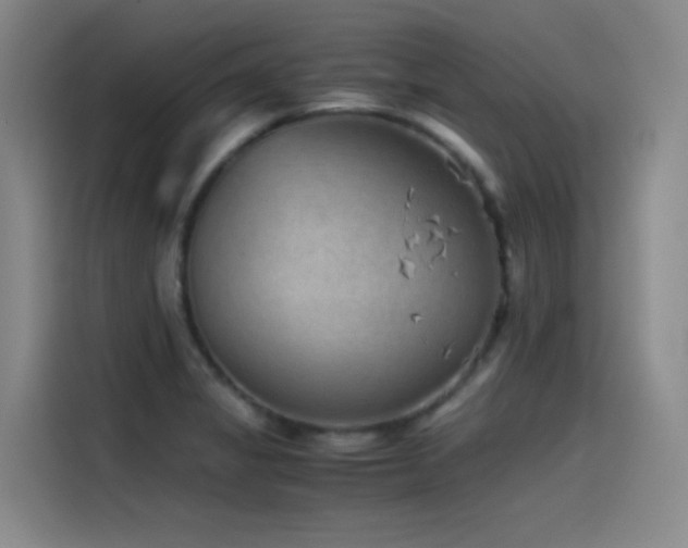 X0000115511325200911061348