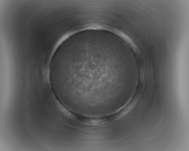 X0000115511326200911061348
