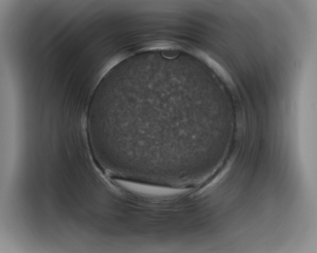 X0000115511329200911061348
