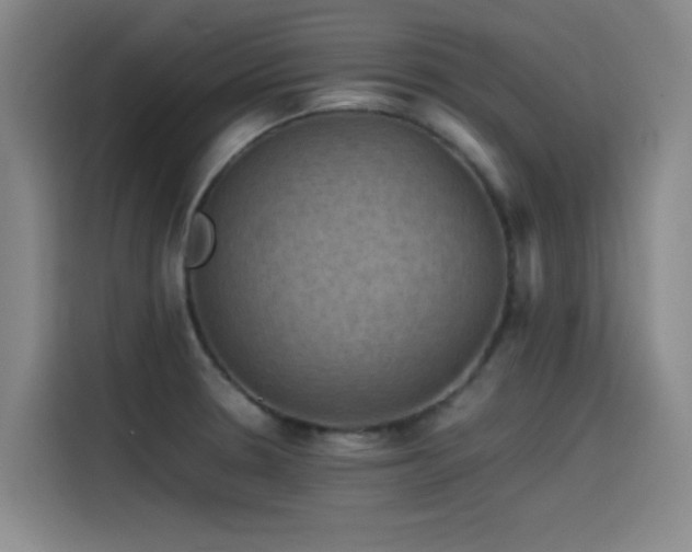X0000115511330200911061348