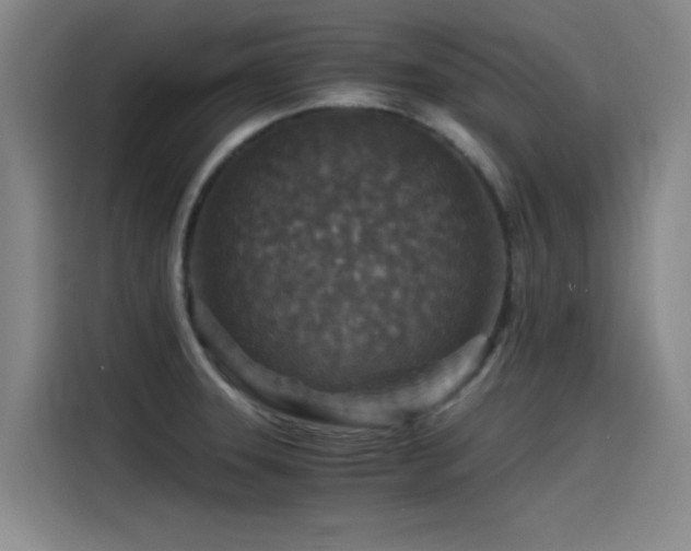 X0000115511331200911061348