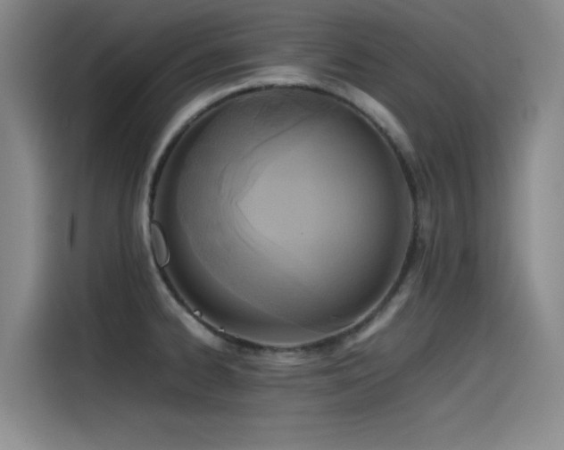X0000115511334200911061348