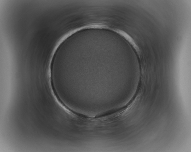 X0000115511335200911061348