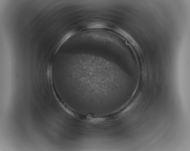X0000115511337200911061348