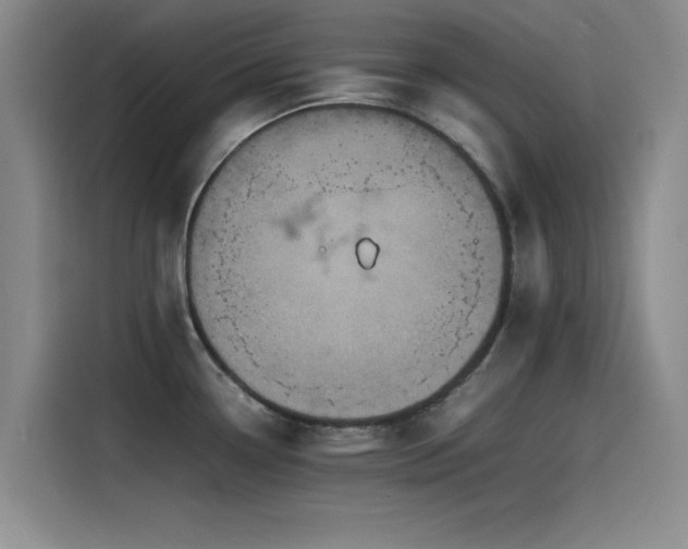 X0000115511338200911061348