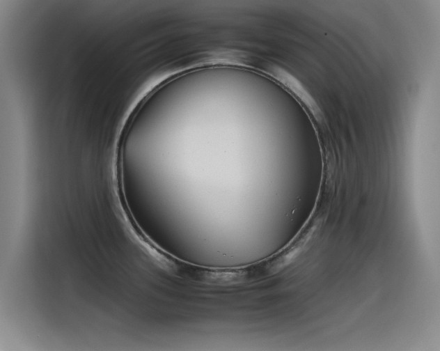X0000115511339200911061348