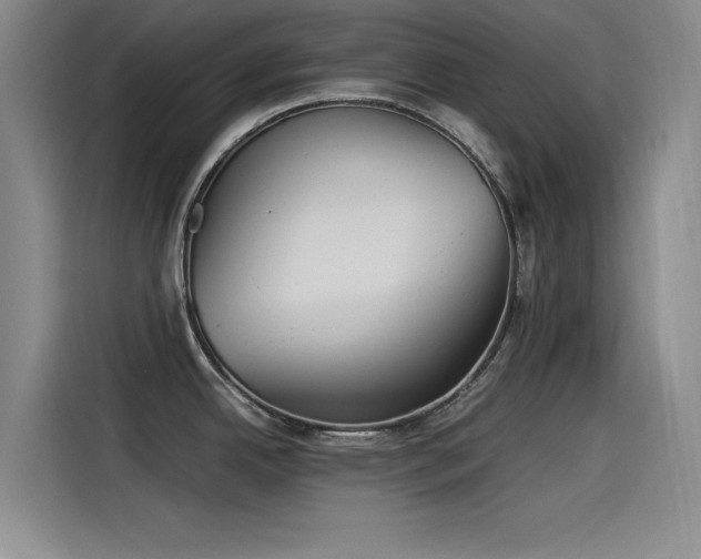 X0000115511342200911061349