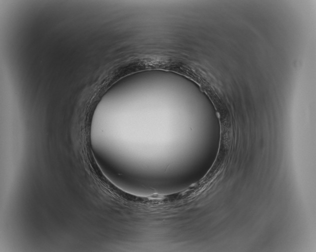X0000115511345200911061348