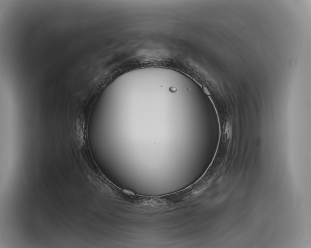 X0000115511348200911061348