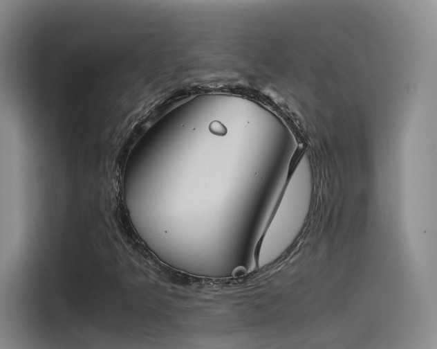 X0000115511349200911061348