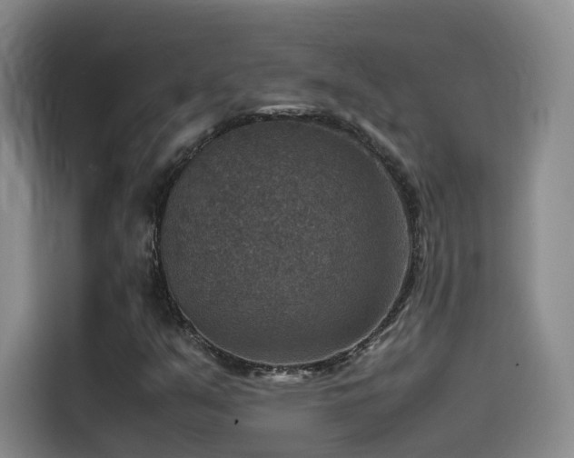 X0000115511351200911061348