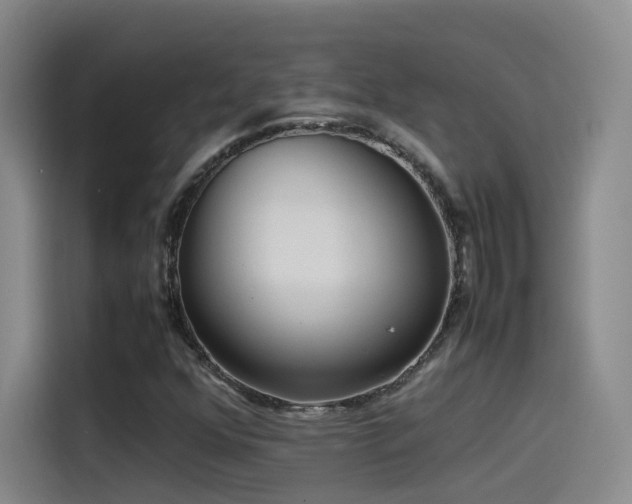 X0000115511352200911061348