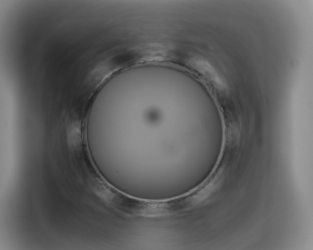 X0000115511353200911061348
