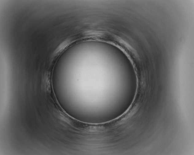 X0000115511354200911061348