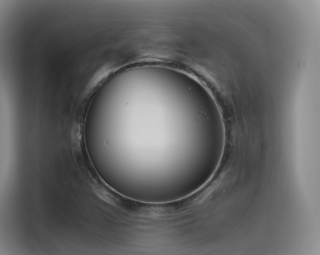 X0000115511355200911061348