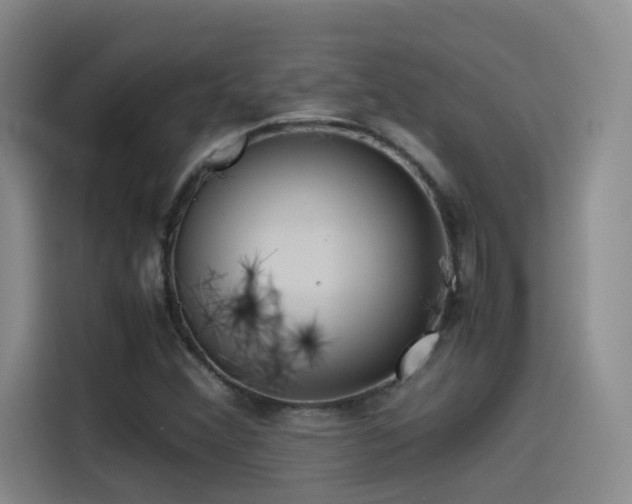 X0000115511356200911061348