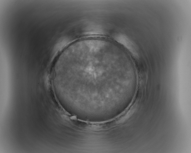 X0000115511357200911061348