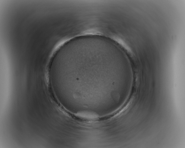 X0000115511358200911061348