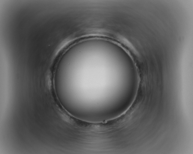 X0000115511360200911061348